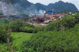 Công ty Trọng Tín bị phạt hơn 330 triệu đồng do vi phạm môi trường