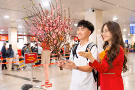 Vietjet mở bán 3,1 triệu vé Tết Đinh Mùi 2027, thêm lựa chọn cho hành trình đoàn viên