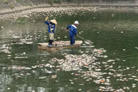 Thu gom 8 tạ cá chết bốc mùi ở hồ điều hòa Công viên Nghĩa Đô, sẽ rắc men vi sinh tạo bọt khí