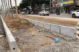 Trồng cây xanh trên nền đá base ở dải phân cách đường Võ Chí Công, chủ đầu tư nói gì?