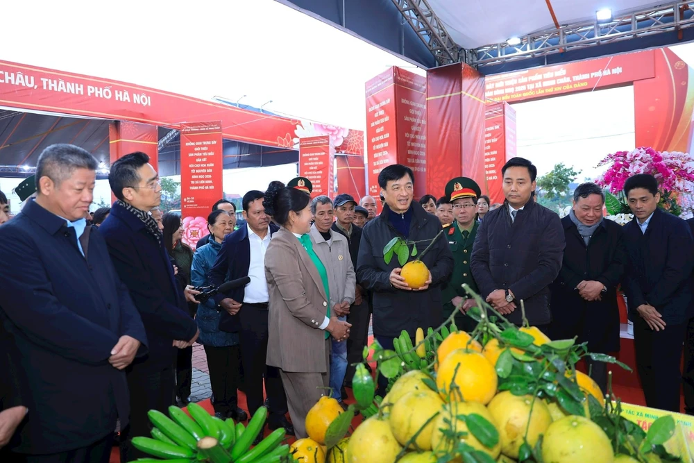 Bí thư Thành ủy Hà Nội: Phát triển xã đảo Minh Châu thành điểm du lịch sinh thái, trải nghiệm…