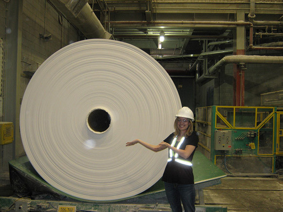 Lịch sử thú vị của giấy vệ sinh ảnh 5