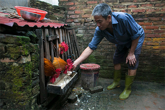 Thổ Hà, ngôi làng cổ kính bên dòng sông Cầu thơ mộng ảnh 8 Thổ Hà, ngôi làng cổ kính bên dòng sông Cầu thơ mộng ảnh 8