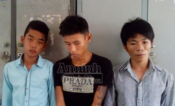 Thuê ô tô đi... trộm bò ảnh 1