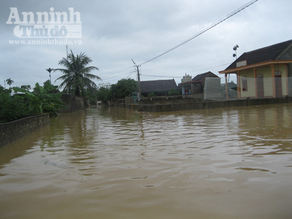 Hơn 5000 ngôi nhà nhấn chìm, 5 người chết, hàng chục người bị thương ảnh 7