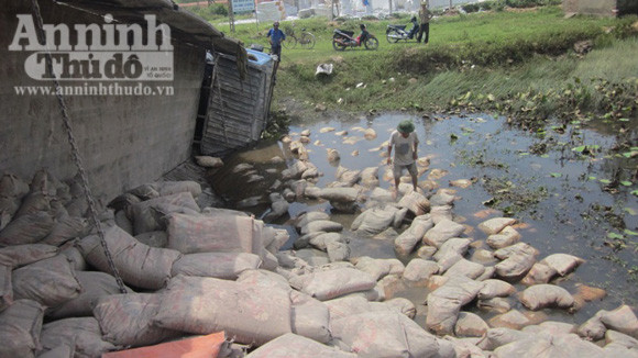 Xe chở xi-măng lao xuống ao, 10 tấn "hóa" bê tông ảnh 3