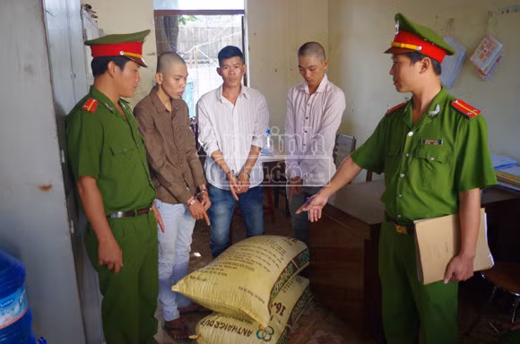 Bắt nhóm đối tượng chuyên trộm cắp cà phê ảnh 1