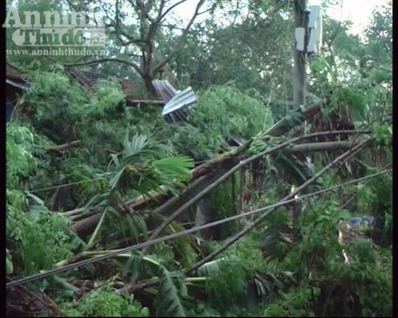 115 ngôi nhà bị sập và tốc mái trong cơn lốc xoáy ảnh 2