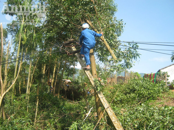 115 ngôi nhà bị sập và tốc mái trong cơn lốc xoáy ảnh 4