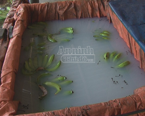 Hơn chục năm lén lút ngâm chuối trong hóa chất rồi tung ra thị trường ảnh 1