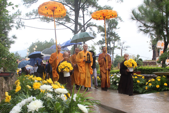 Về Quảng Ninh ghé thăm lễ hội hoa cúc ảnh 4