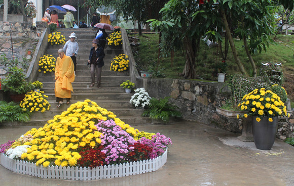 Về Quảng Ninh ghé thăm lễ hội hoa cúc ảnh 10