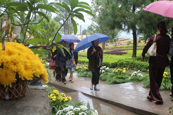 Về Quảng Ninh ghé thăm lễ hội hoa cúc ảnh 11