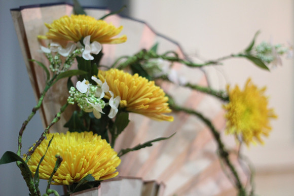 Về Quảng Ninh ghé thăm lễ hội hoa cúc ảnh 8