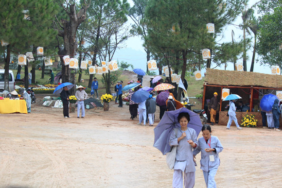 Về Quảng Ninh ghé thăm lễ hội hoa cúc ảnh 12