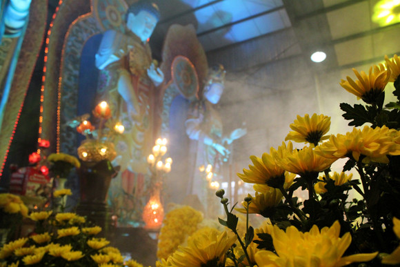 Về Quảng Ninh ghé thăm lễ hội hoa cúc ảnh 5