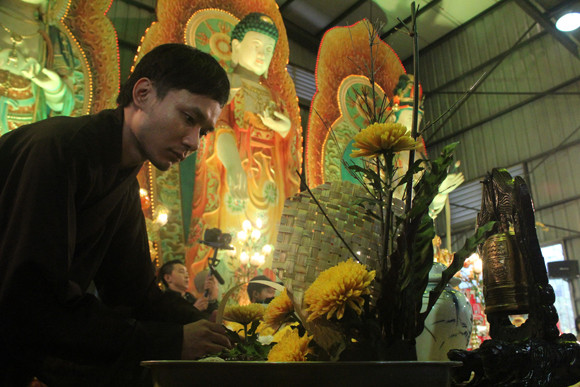 Về Quảng Ninh ghé thăm lễ hội hoa cúc ảnh 9