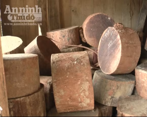 Triệt hạ gỗ nghiến vài trăm tuổi để lấy... thớt bán qua biên giới ảnh 3