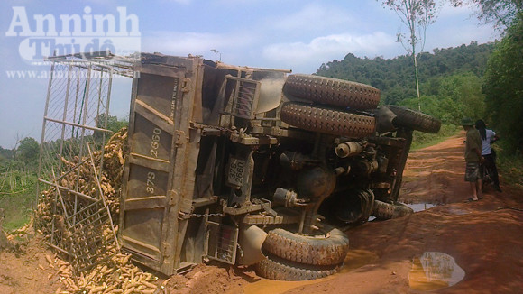 Tránh xe đạp, ô tô tải chở sắn "chổng vó" giữa đường ảnh 1