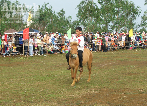 Đầu xuân, kỵ sĩ "chân đất" đua ngựa gò Thì Thùng ảnh 4