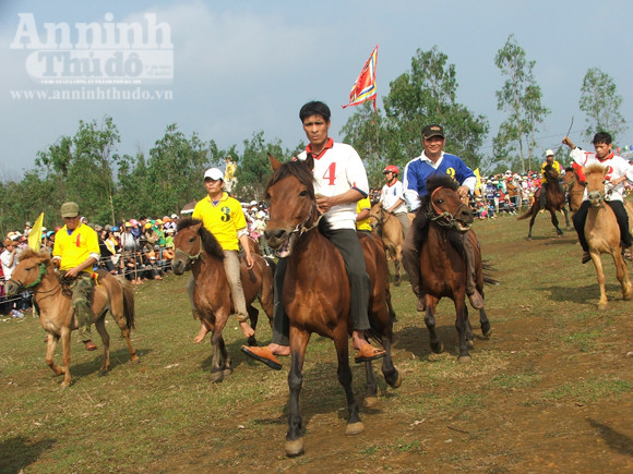 Đầu xuân, kỵ sĩ "chân đất" đua ngựa gò Thì Thùng ảnh 1