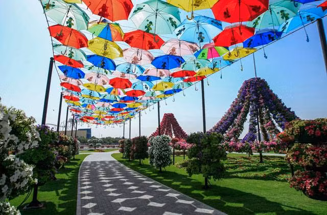 Chiêm ngưỡng công viên hoa tự nhiên lớn nhất thế giới ảnh 12