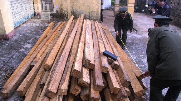 Bắt 2 vụ gỗ lậu số lượng lớn ảnh 1