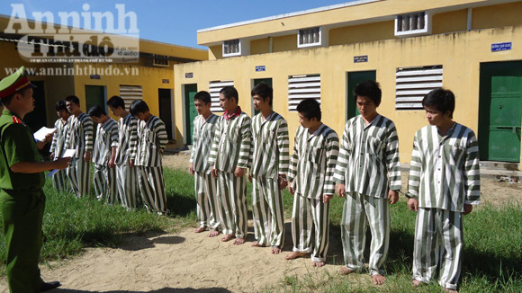 Bắt giữ 141 đối tượng trộm cắp chuyên nghiệp ảnh 1