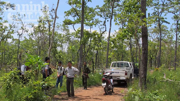 Huy động thêm 2 voi nhà cứu hộ con voi rừng bị thương do sập bẫy ảnh 1