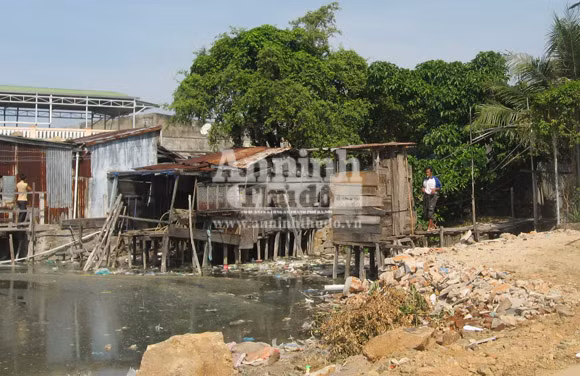Vô tư xả thải: vịnh Cam Ranh đang thành... "biển thối" ảnh 4