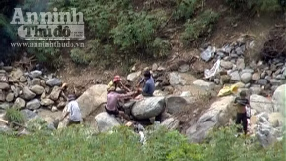 Rộ tin đồn đào gỗ sưa trúng bạc tỷ, bỏ nương rẫy, đổ xô đi tìm ảnh 1