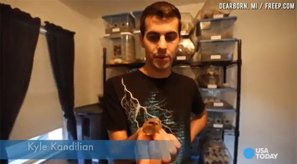 Nuôi hơn... 200.000 con gián làm thú cưng ảnh 2