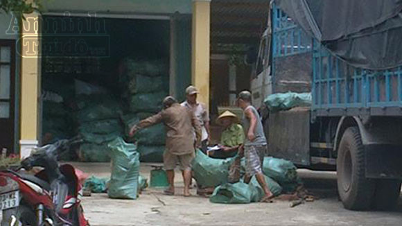 Gần 6 tấn gỗ quý bị phát hiện và thu giữ trên đường vận chuyển ra Hà Nội ảnh 1