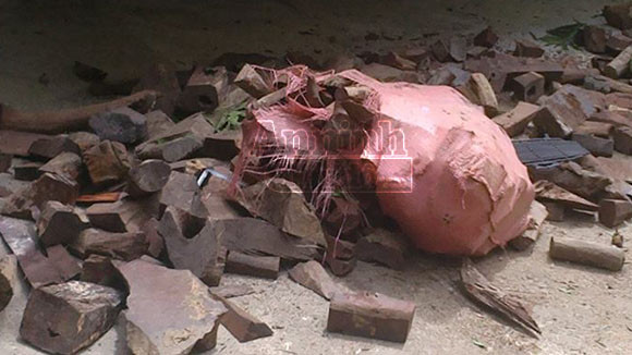 Gần 6 tấn gỗ quý bị phát hiện và thu giữ trên đường vận chuyển ra Hà Nội ảnh 2