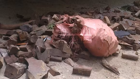 Gần 6 tấn gỗ quý bị phát hiện và thu giữ trên đường vận chuyển ra Hà Nội ảnh 2