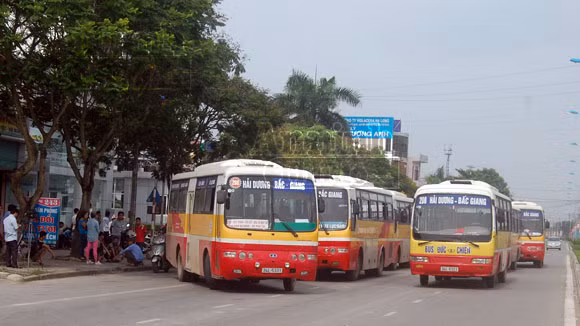 Tranh giành tuyến, xe buýt đỗ tràn đường gây ách tắc ảnh 1