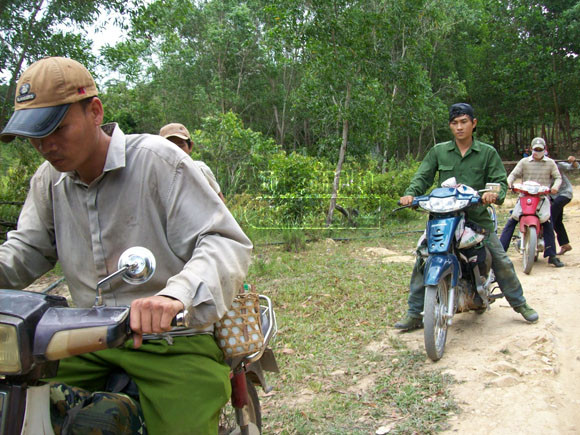 Phú Yên: Bùng phát nạn phá rừng tìm trầm ảnh 3