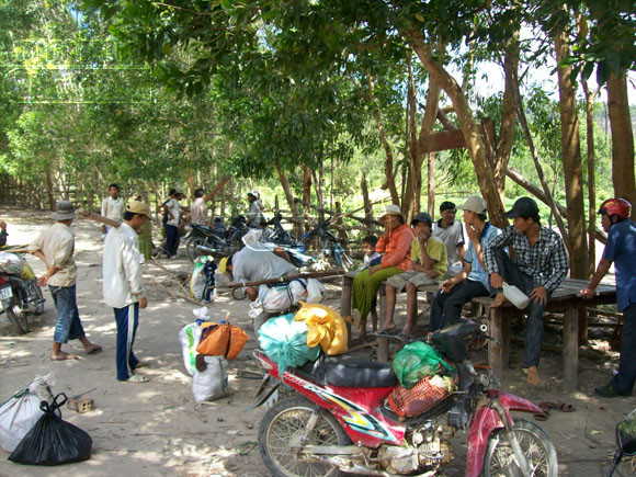 Phú Yên: Bùng phát nạn phá rừng tìm trầm ảnh 2