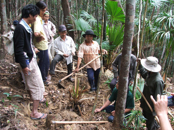 Phú Yên: Bùng phát nạn phá rừng tìm trầm ảnh 1