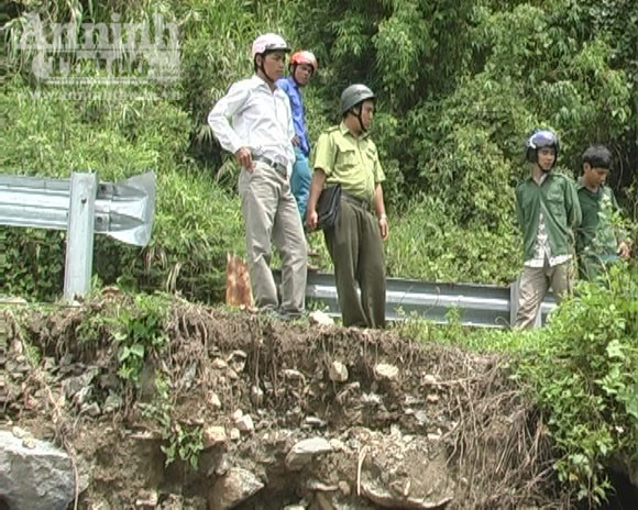 Rộ tin đồn đào gỗ sưa trúng bạc tỷ, bỏ nương rẫy, đổ xô đi tìm ảnh 3