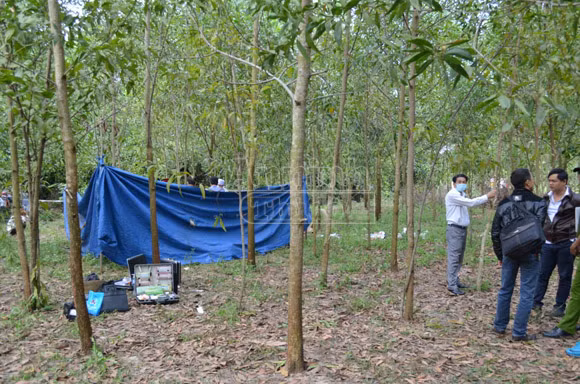 Người phụ nữ chết trong rừng keo do bị cắt cổ ảnh 1