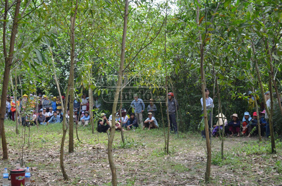 Người phụ nữ chết trong rừng keo do bị cắt cổ ảnh 2