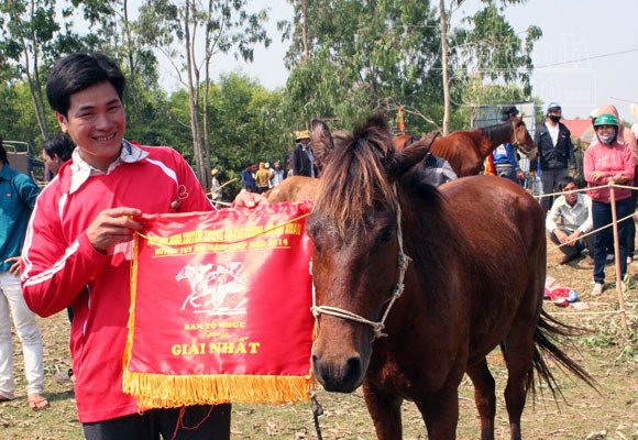 20 "cụ" xoài hàng trăm tuổi trở thành "Cây di sản Việt Nam" ảnh 3