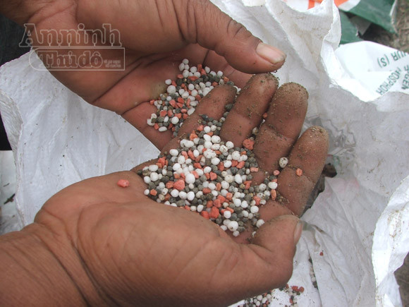 Phát hiện hơn 1,2 tấn phân bón giả ngay tại công ty cung ứng ảnh 1