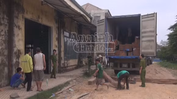 Phát hiện gần 10 khối gỗ lậu lẫn trong đống gỗ hợp pháp ảnh 1