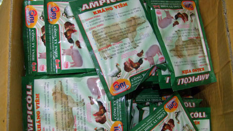 Phát hiện bột "bung mông, nở vai" gia súc tại Quảng Nam ảnh 1