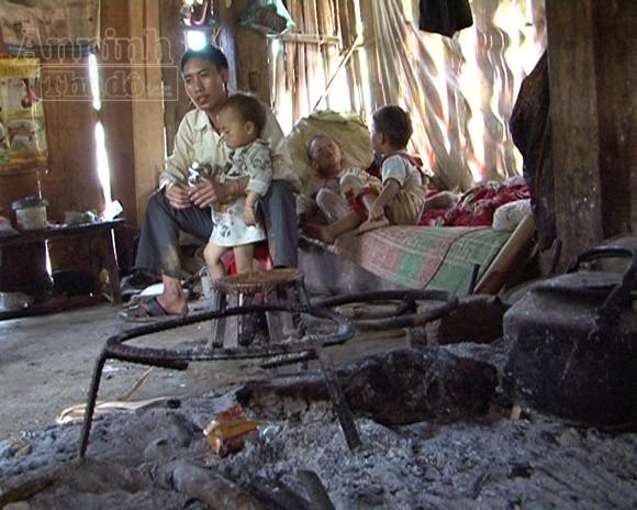 "Lời ru buồn" mang tên lá ngón ảnh 2