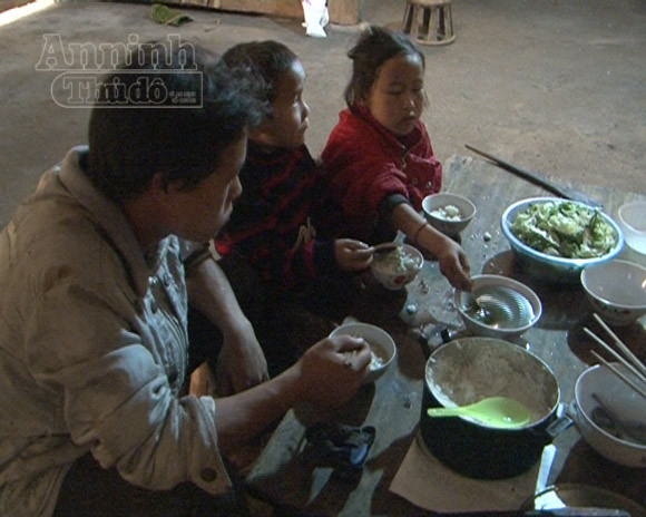 "Lời ru buồn" mang tên lá ngón ảnh 3