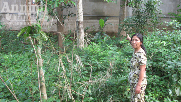 Bỗng dưng bị "xén" mất 300m2 đất ảnh 1