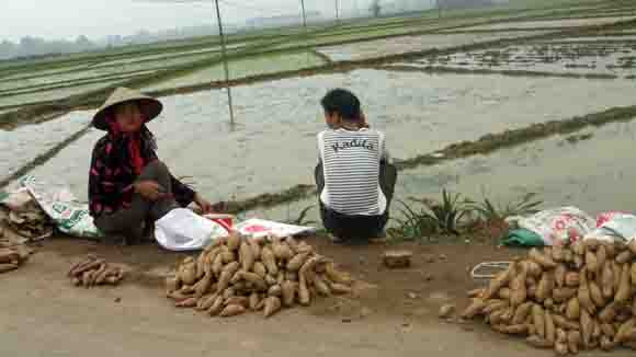 Liên kết “bốn nhà”: Vẫn nằm ỳ trên giấy ảnh 1